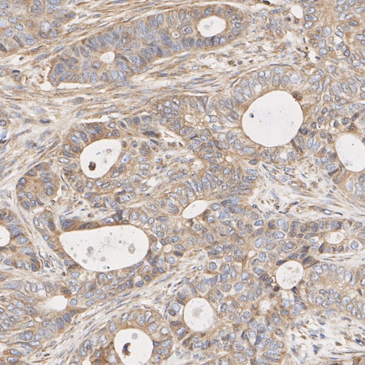 HA750167_5.jpg