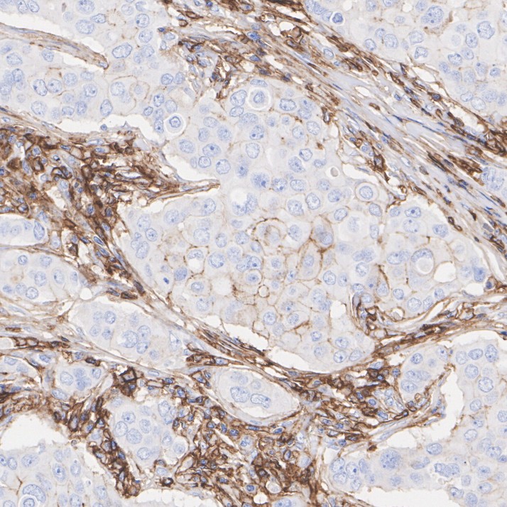 HA750192_2.jpg
