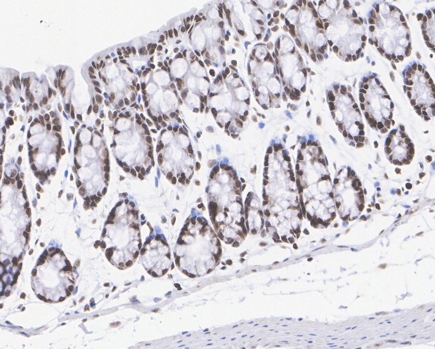 HA750197_6.jpg
