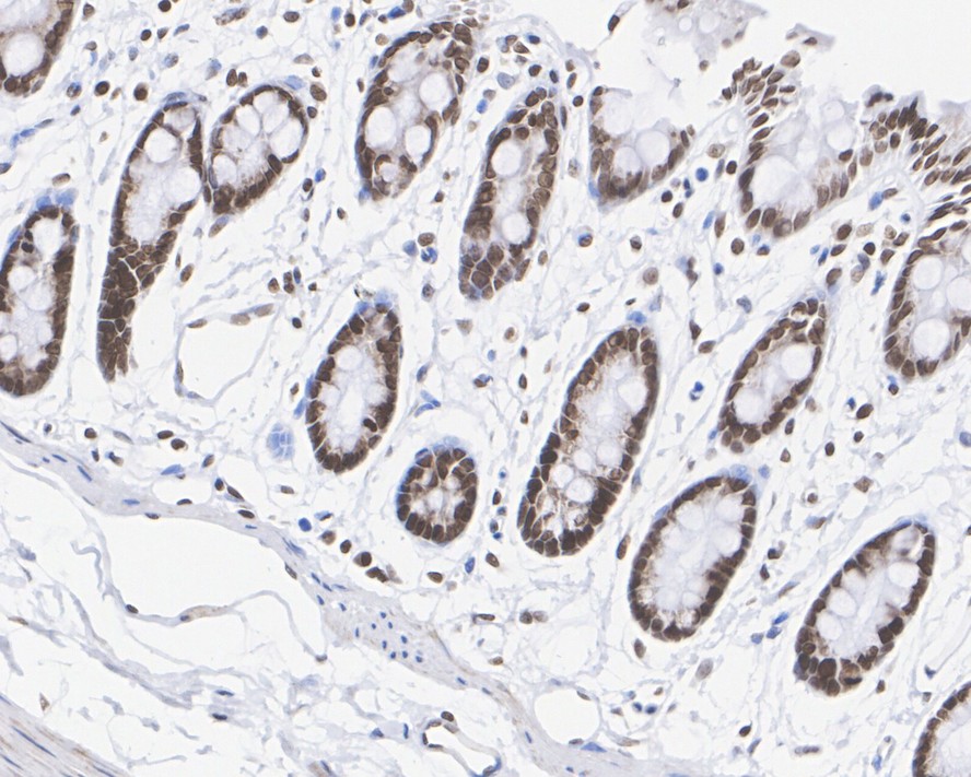 HA750197_8.jpg