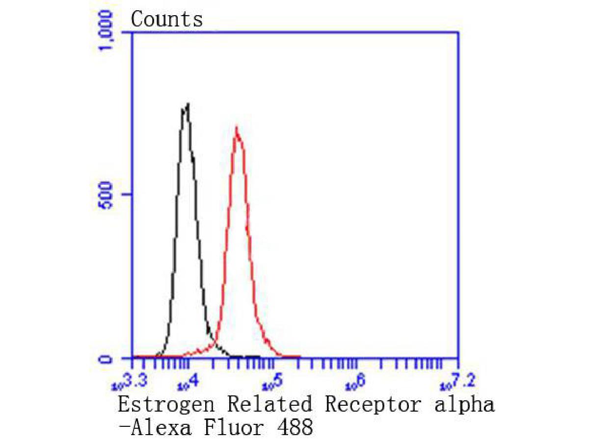 HA750200_2.jpg
