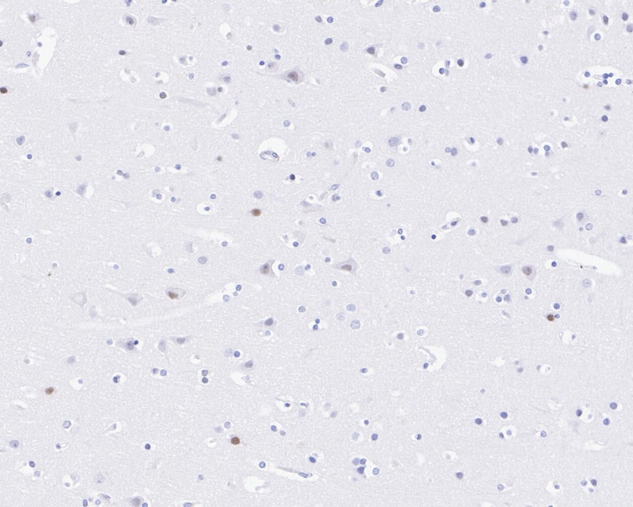HA750200_3.jpg