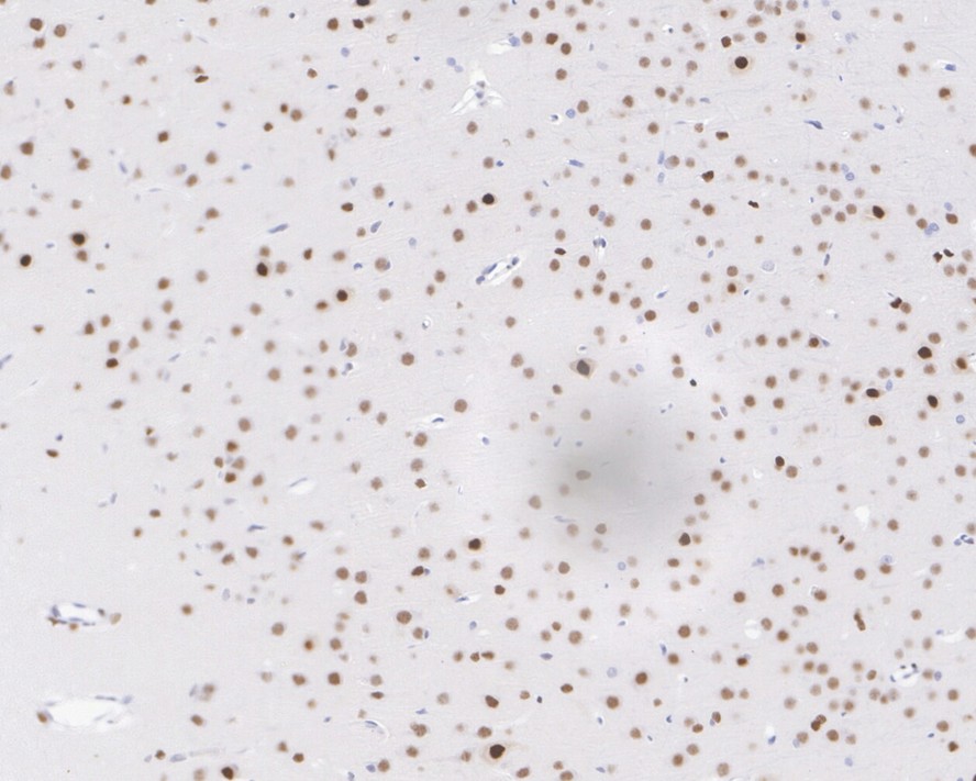 HA750200_8.jpg