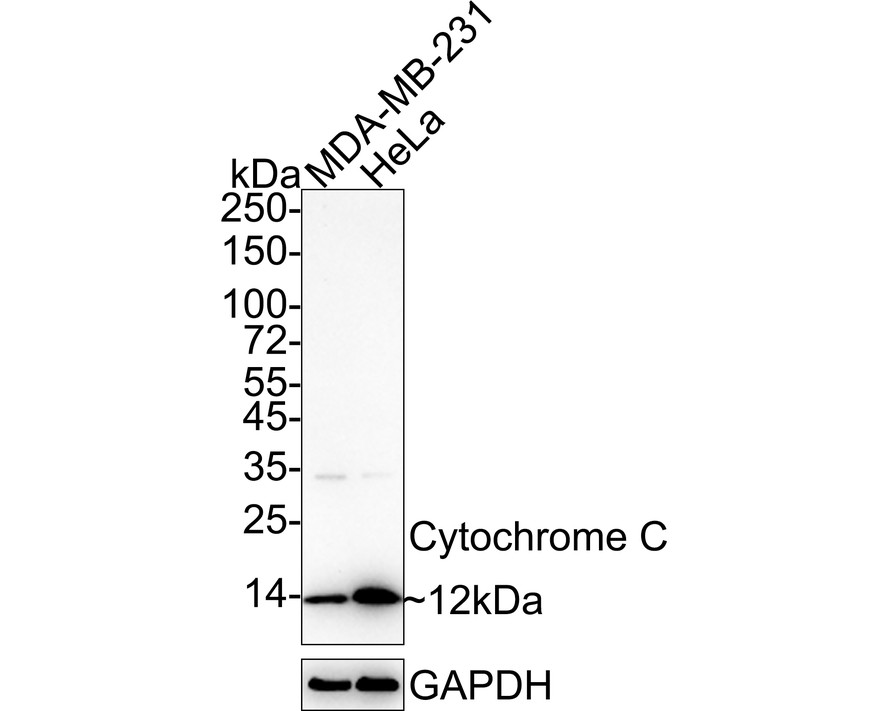 HA750202_2.jpg