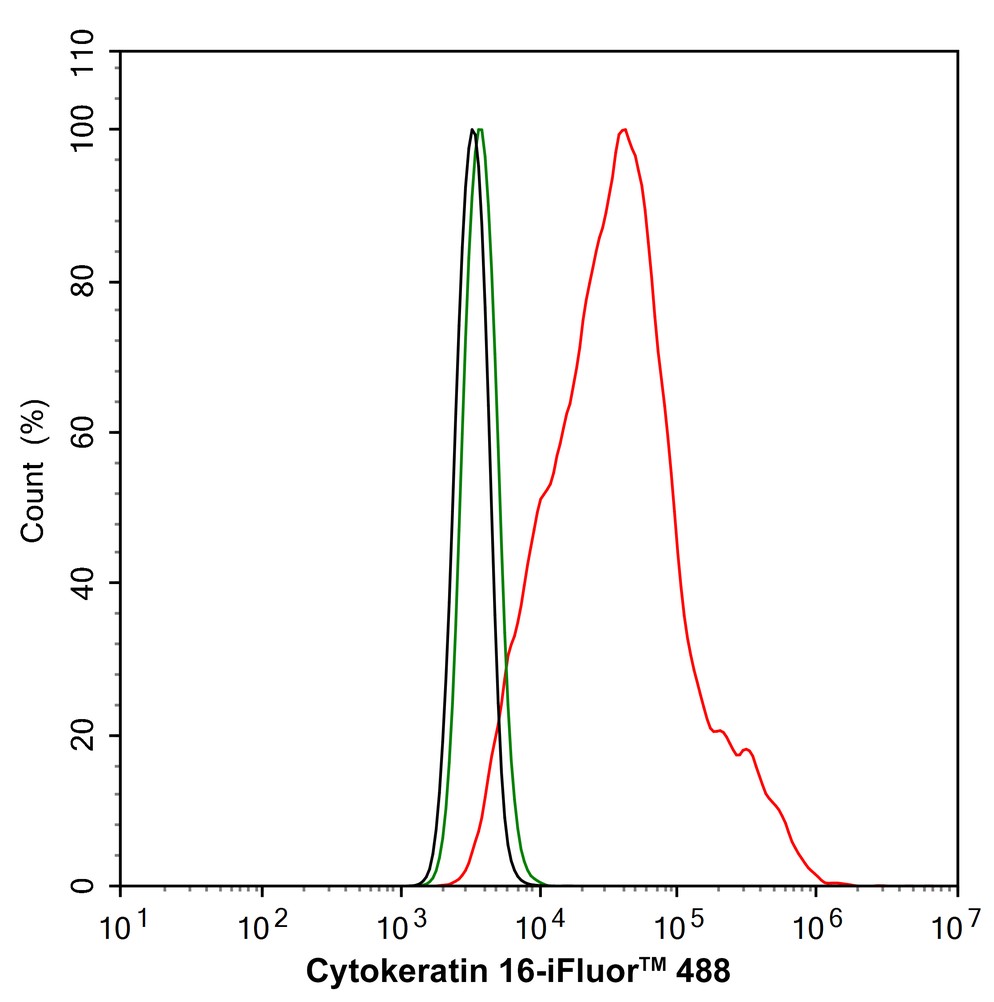 HA750203_10.jpg