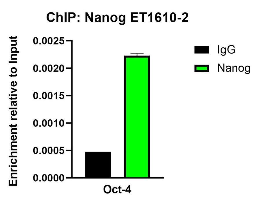 HA750204_5.jpg