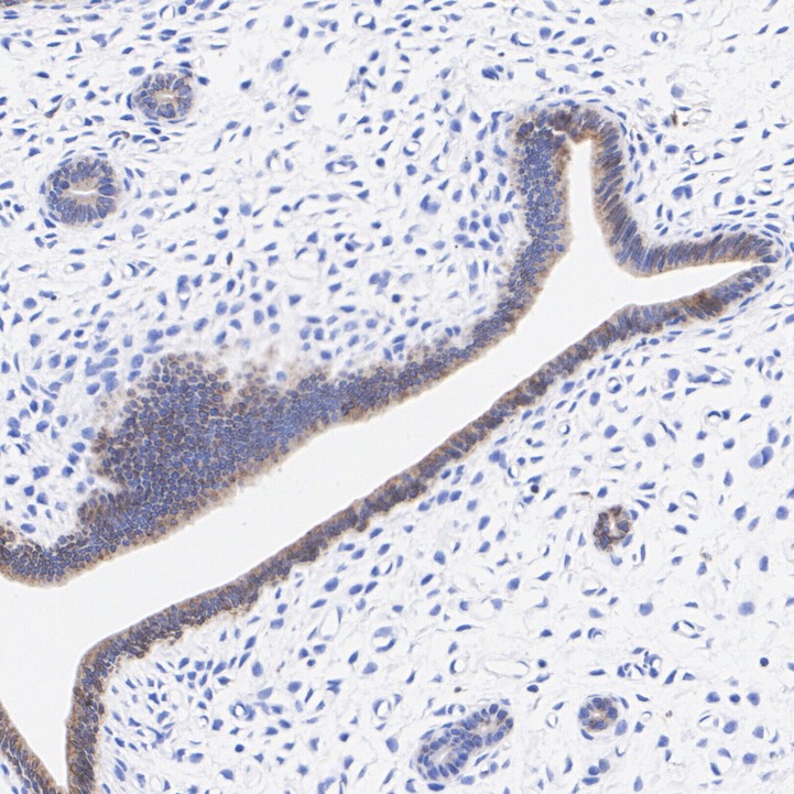 HA750207_9.jpg