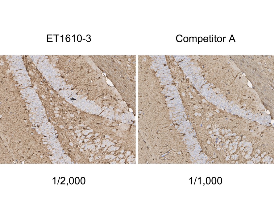 HA750209_4.jpg