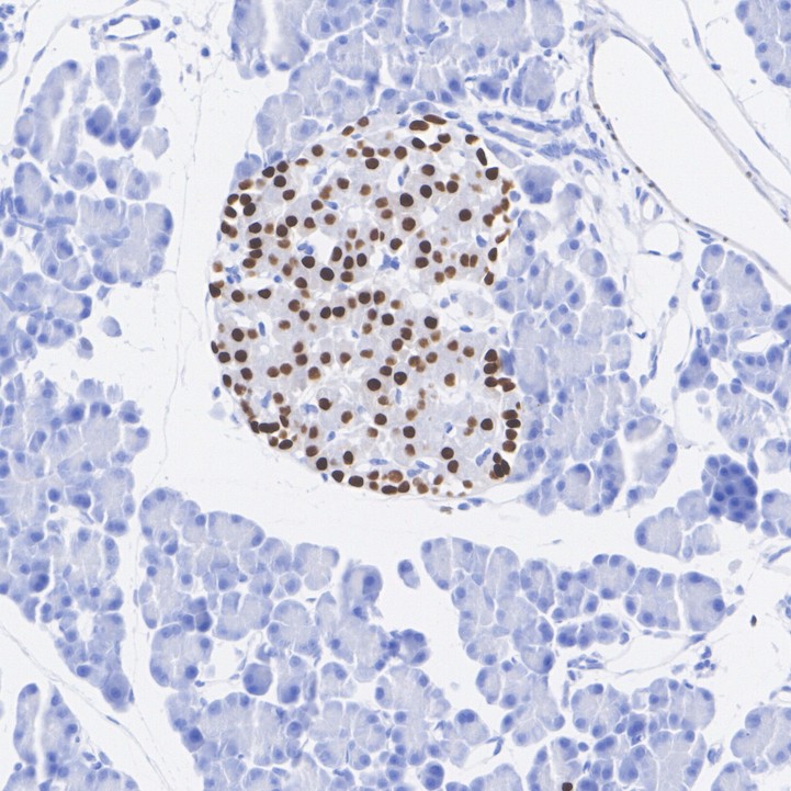 HA750211_10.jpg