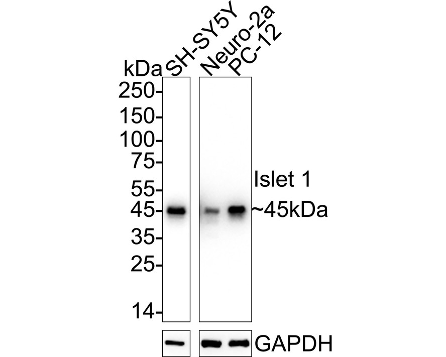 HA750211_5.jpg