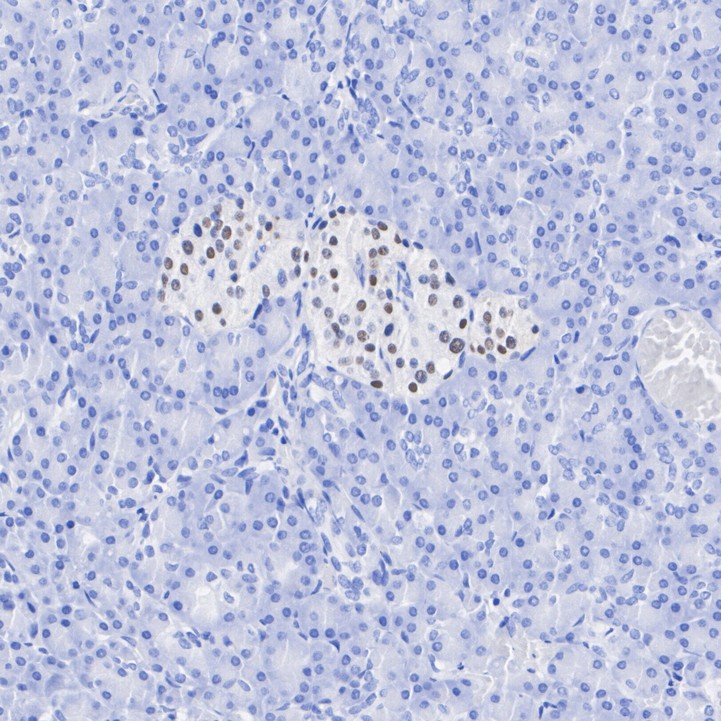 HA750211_8.jpg