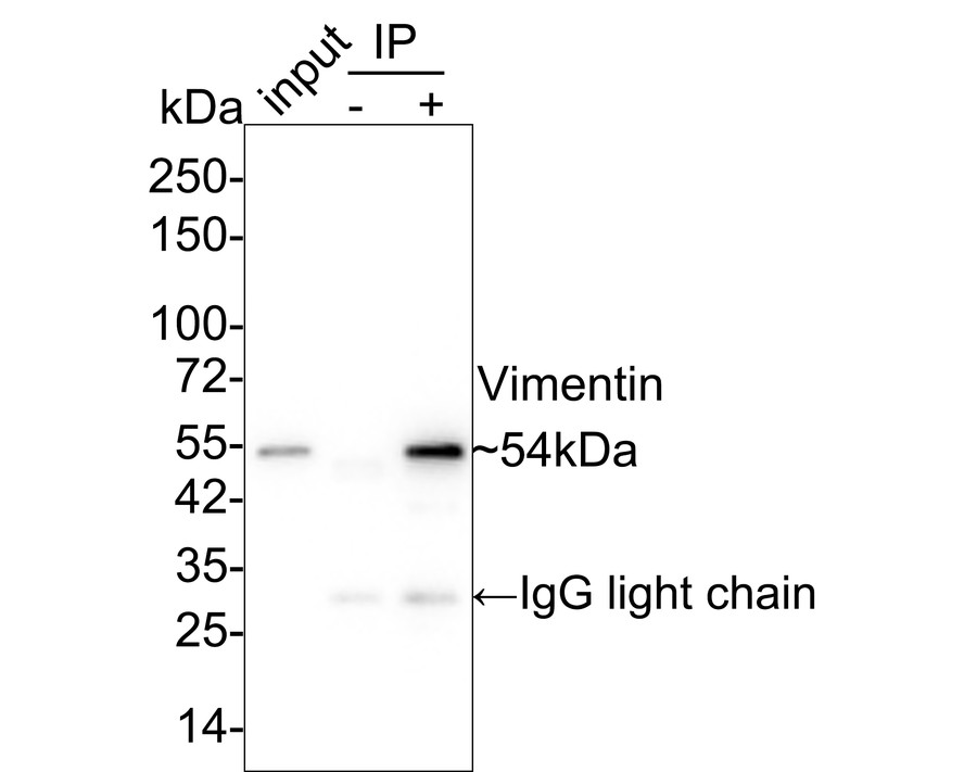 HA750215_17.jpg