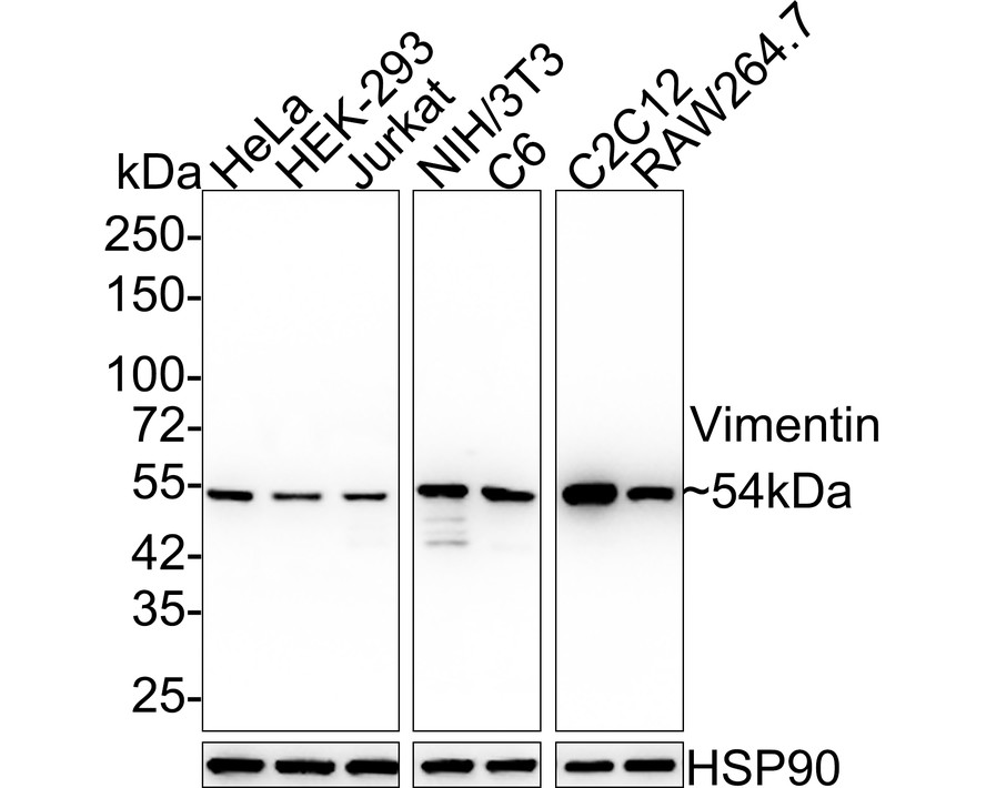 HA750215_3.jpg