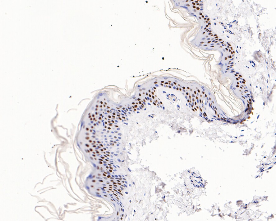 HA750218_3.jpg