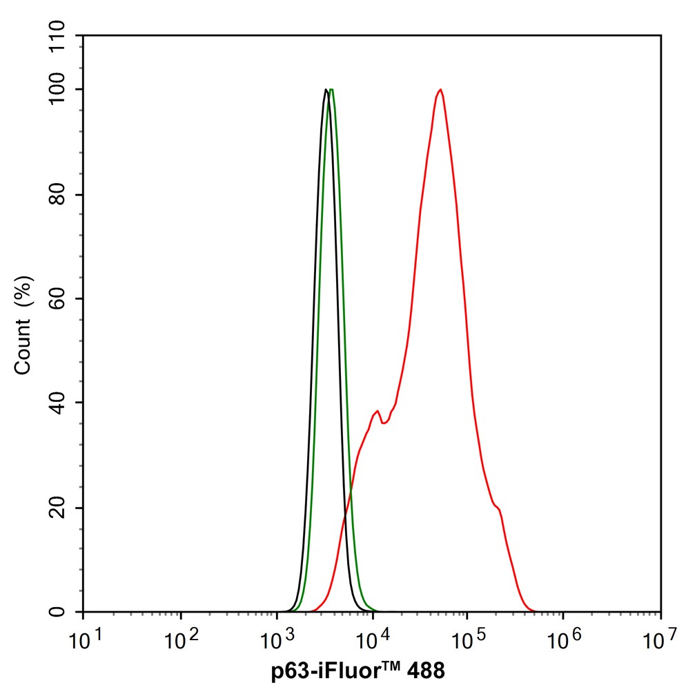 HA750218_8.jpg