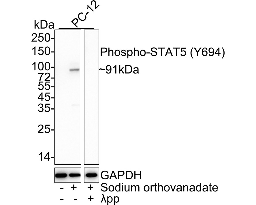 HA750220_1.jpg