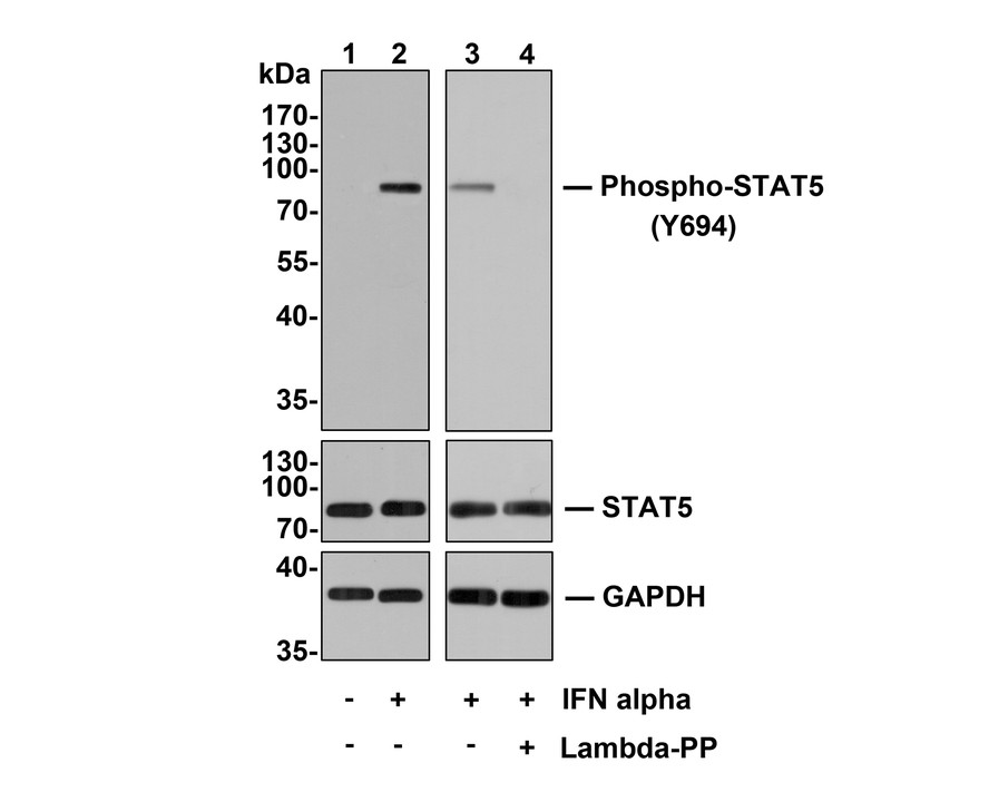 HA750220_3.jpg