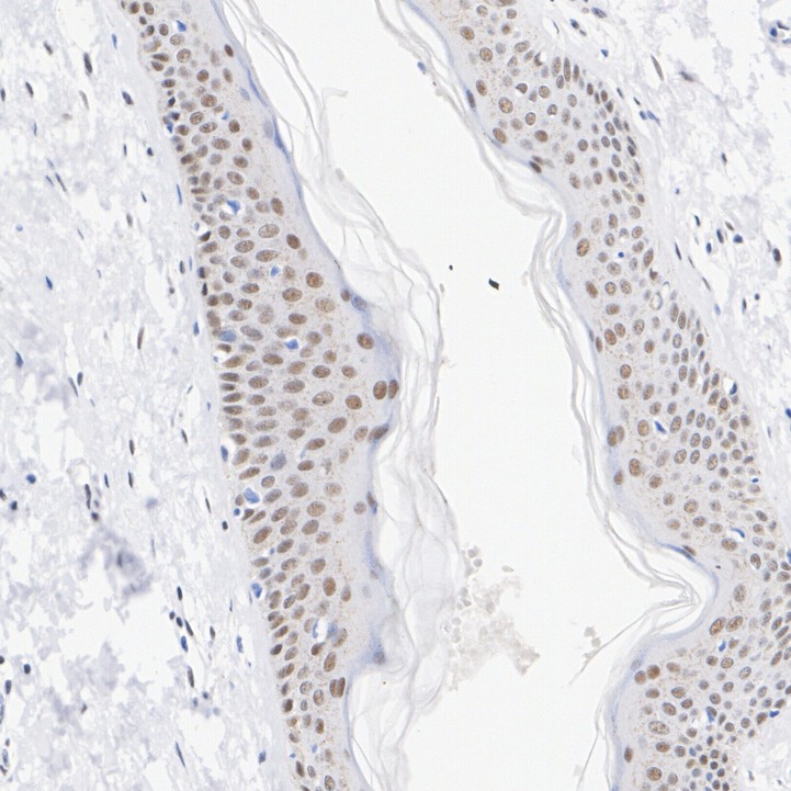 HA750221_4.jpg