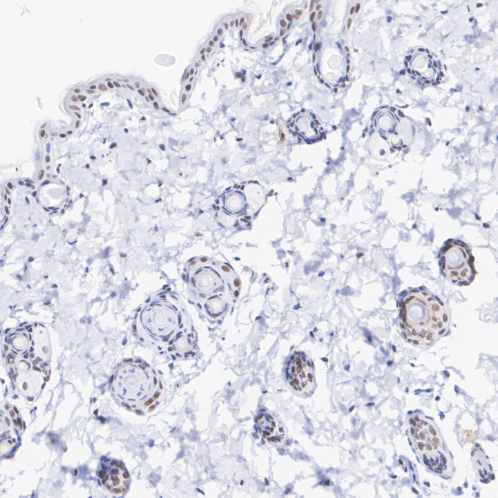 HA750221_5.jpg
