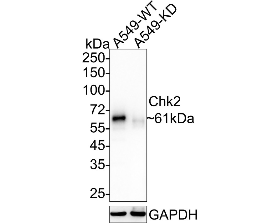 HA750223_1.jpg
