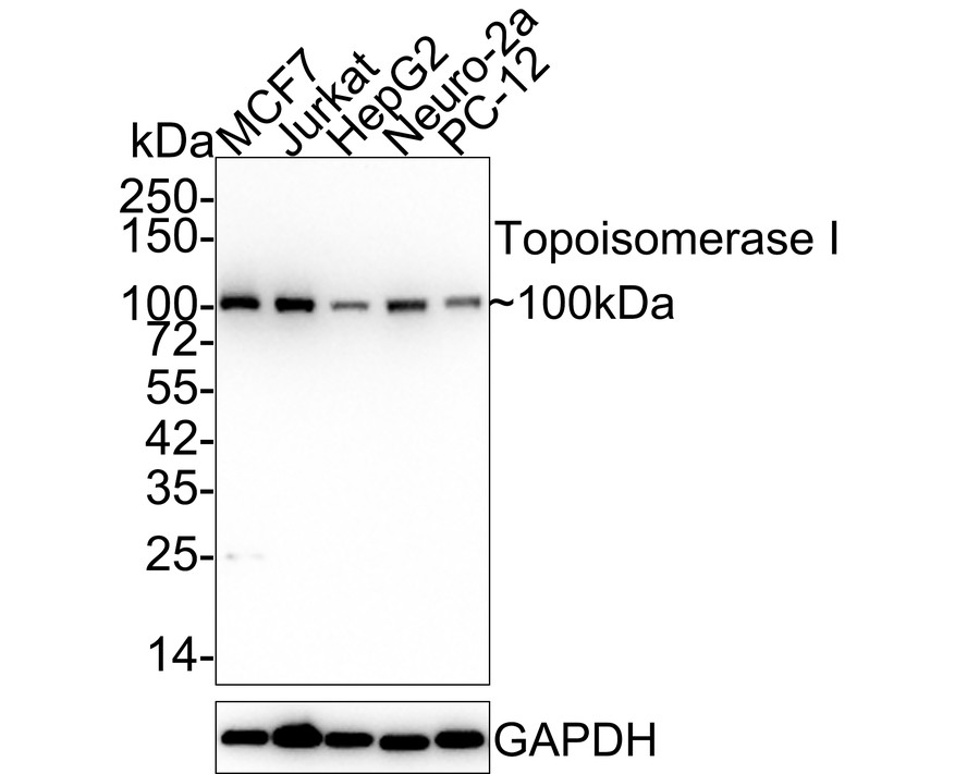HA750227_1.jpg