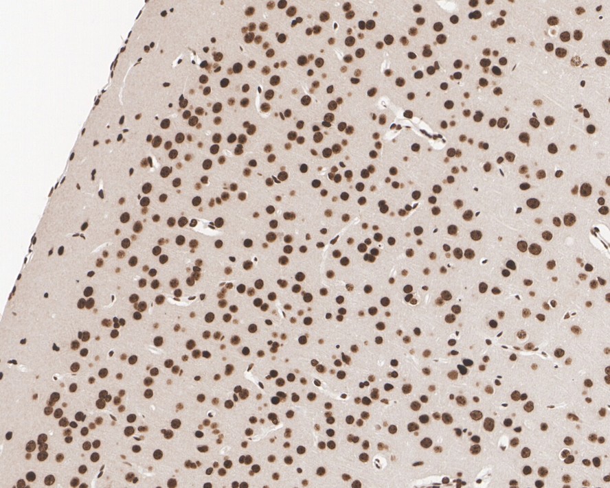 HA750227_11.jpg
