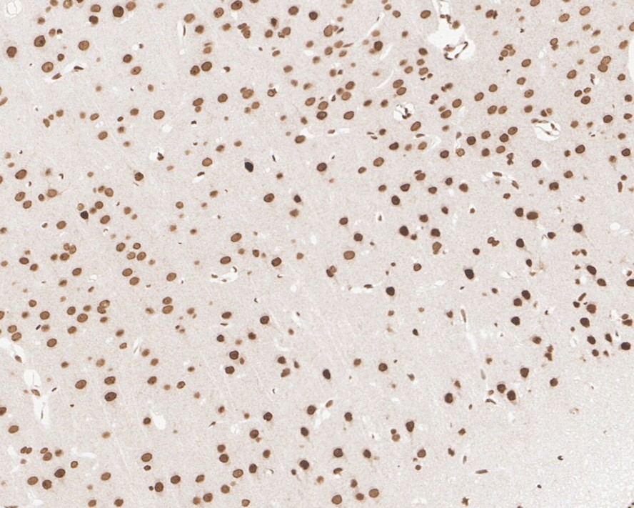 HA750227_13.jpg