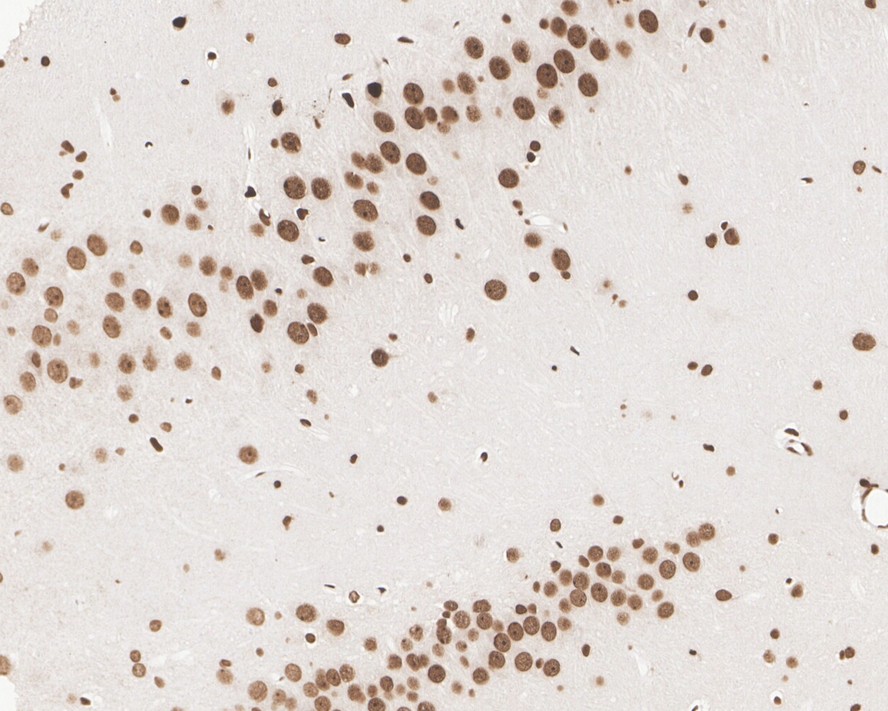 HA750227_14.jpg