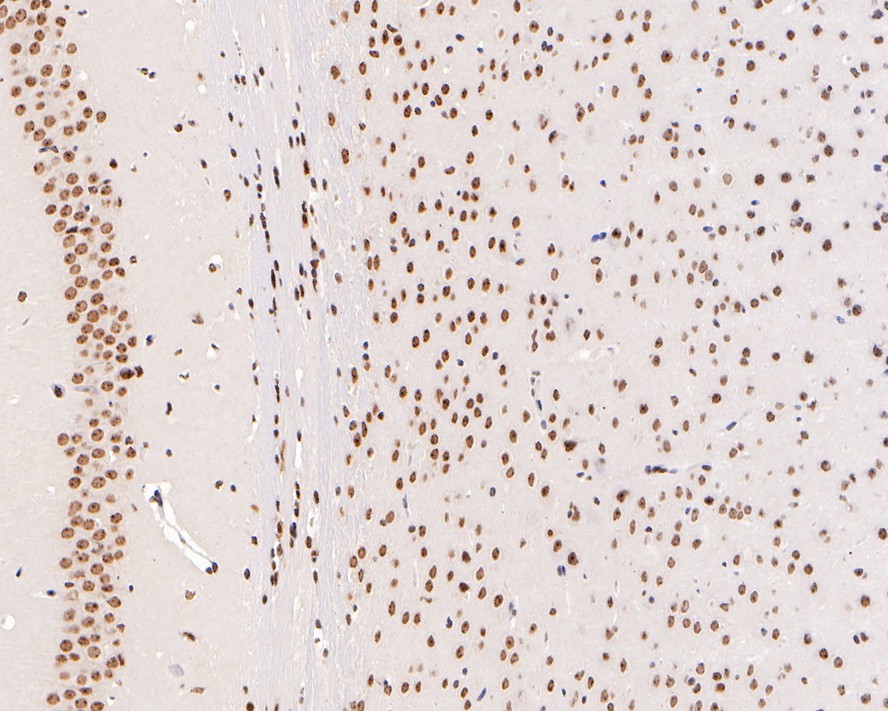 HA750227_6.jpg