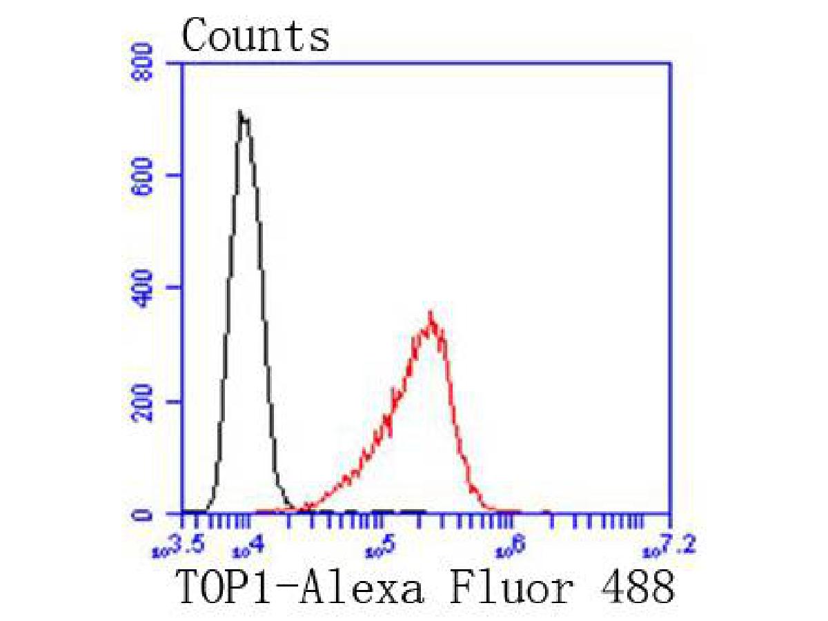 HA750227_7.jpg