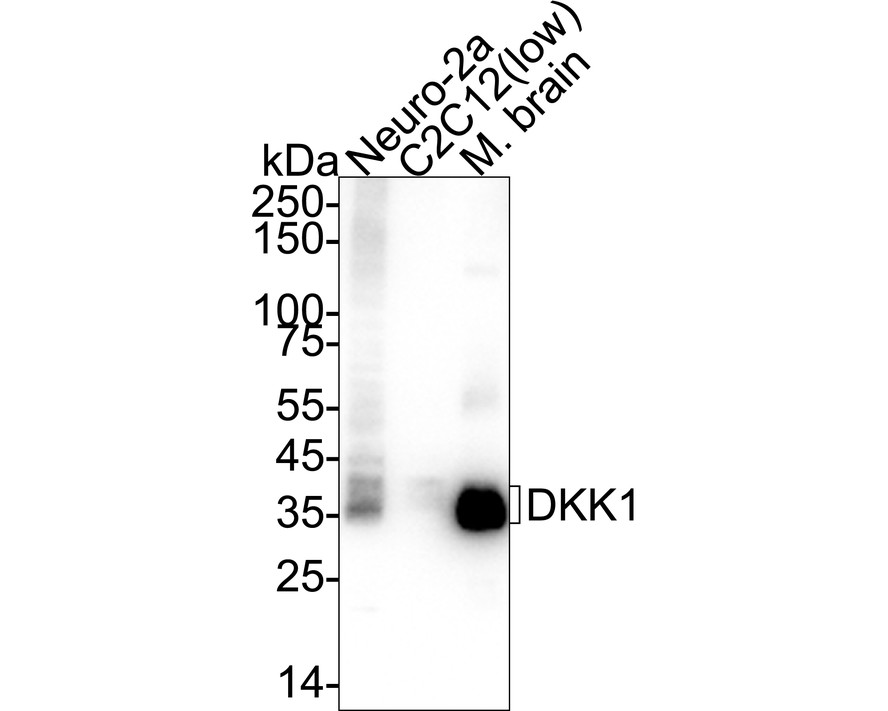 HA750228_2.jpg