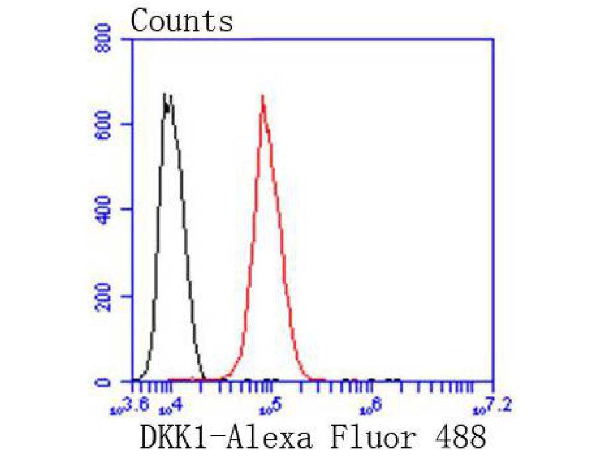 HA750228_8.jpg