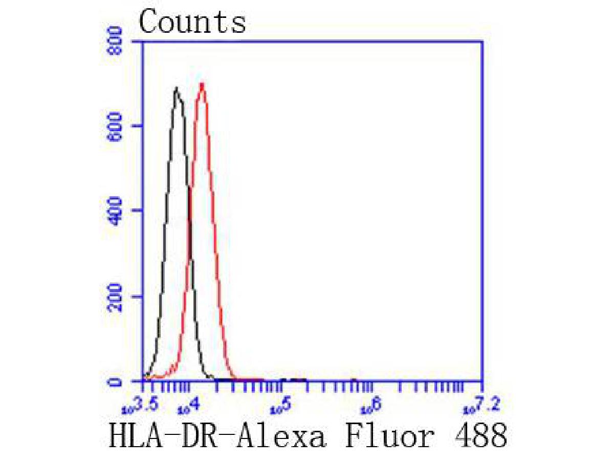 HA750230_7.jpg