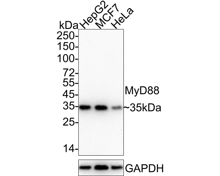 HA750231_1.jpg
