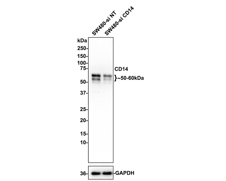 HA750232_2.jpg