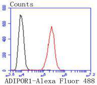 HA750233_6.jpg
