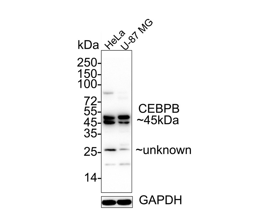 HA750235_2.jpg