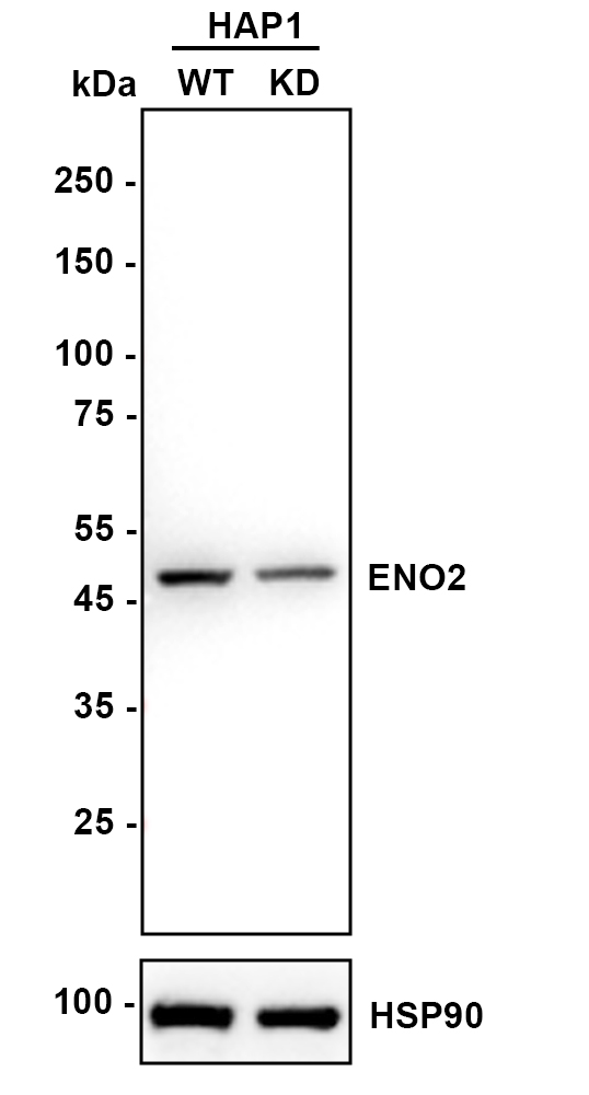 HA750239_2.jpg