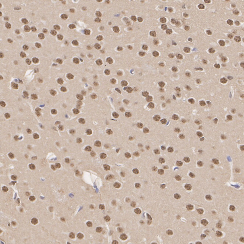 HA750240_3.jpg