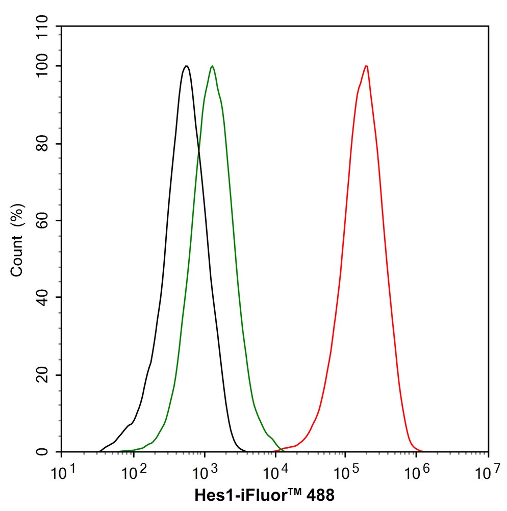 HA750240_9.jpg