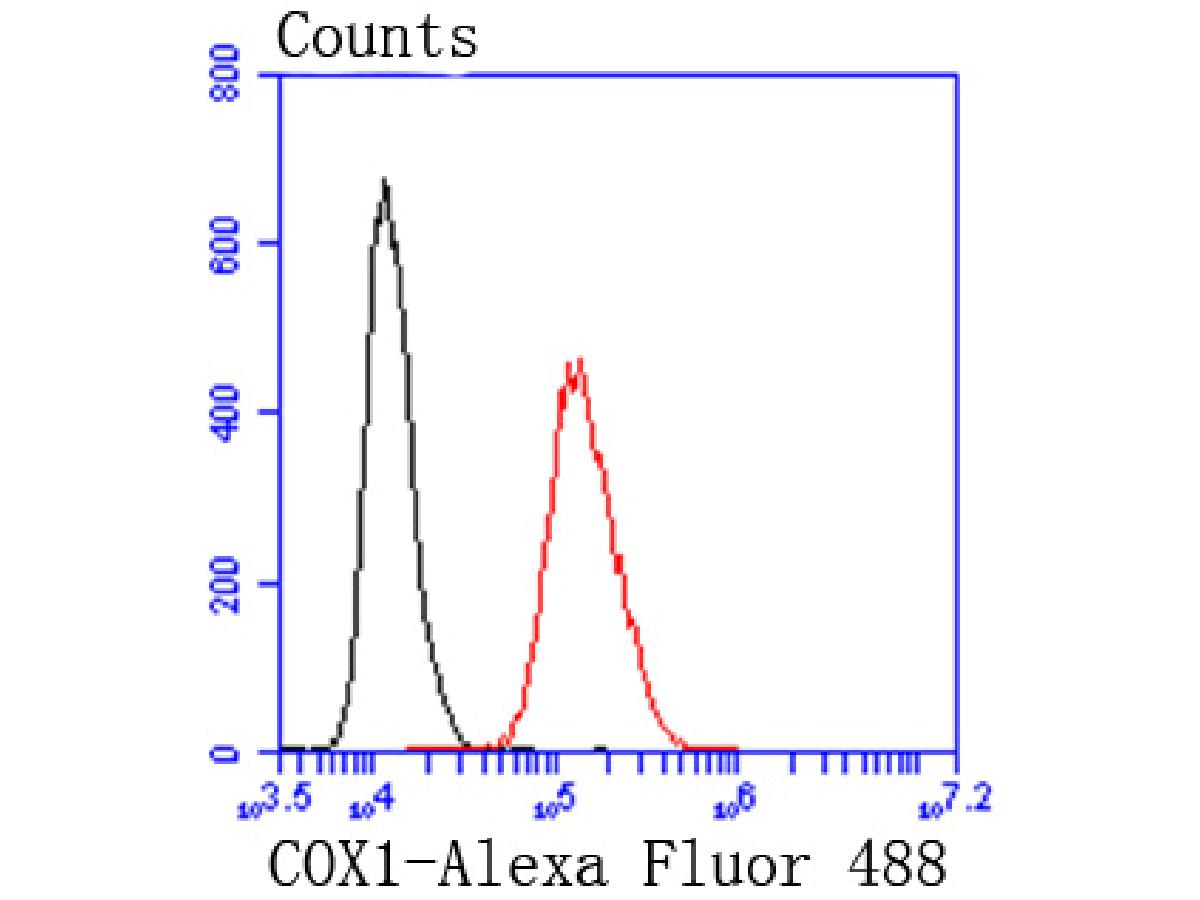 HA750241_12.jpg