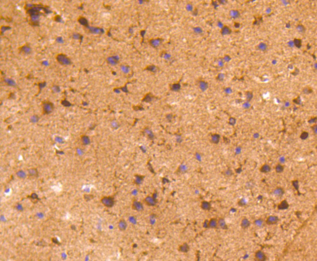 HA750241_9.jpg