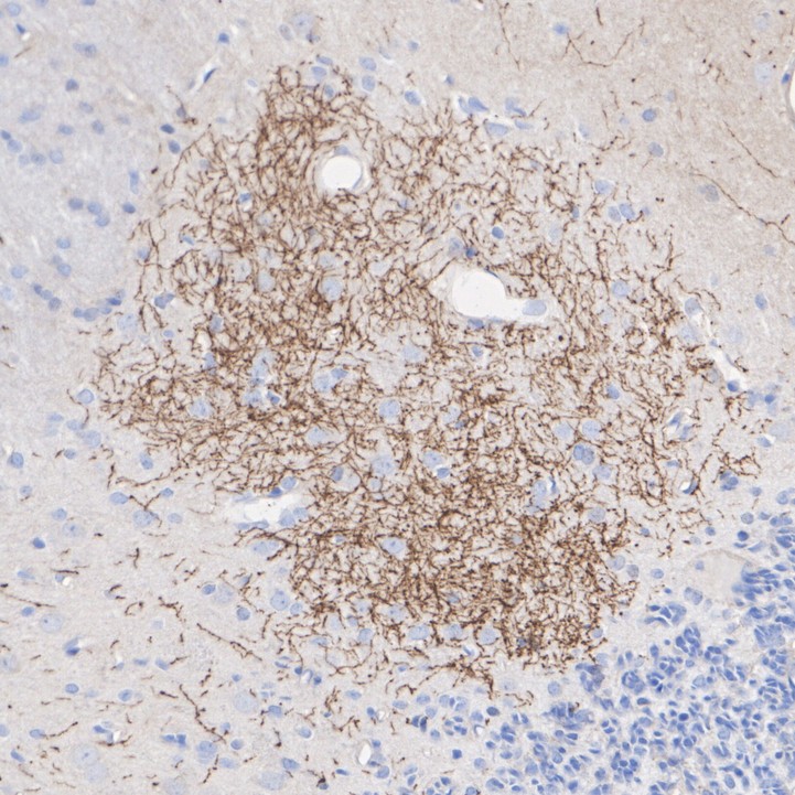 HA750243_3.jpg