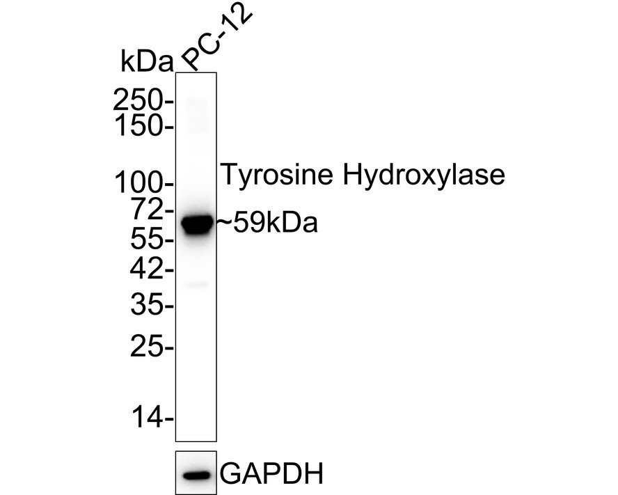 HA750243_5.jpg