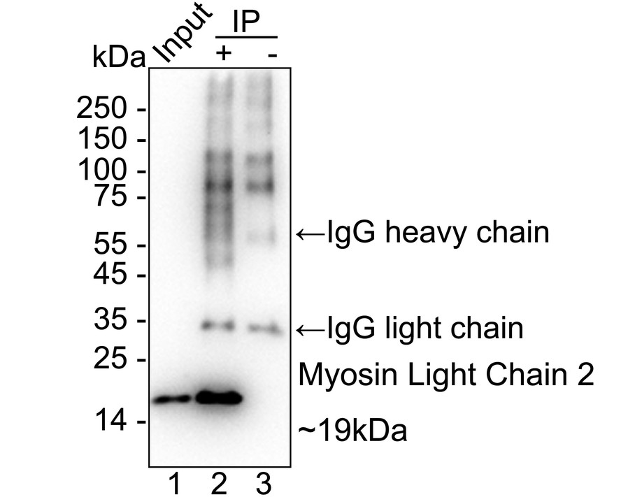 HA750244_10.jpg