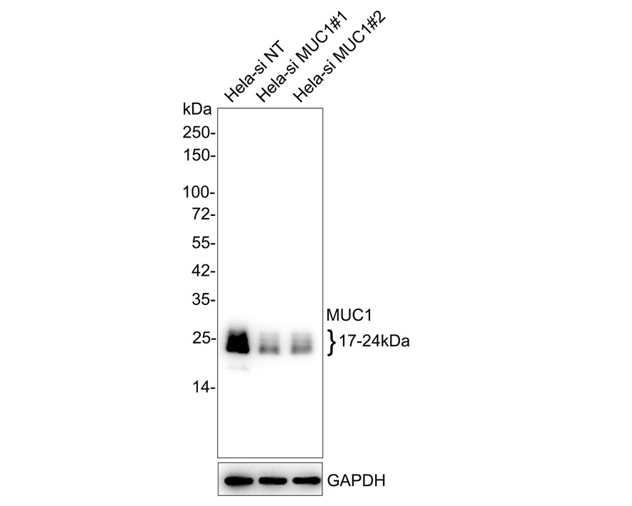 HA750245_3.jpg