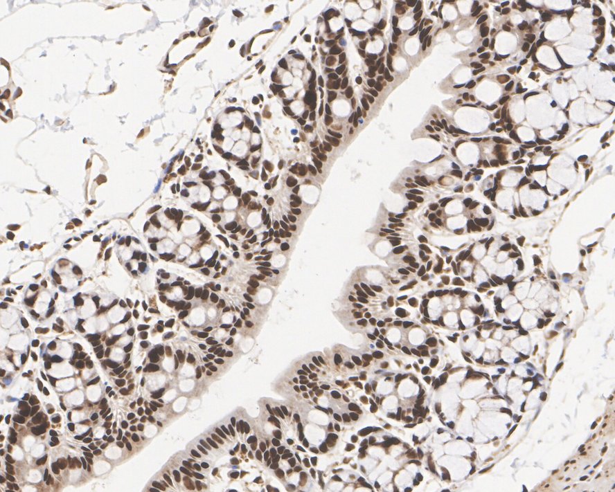 HA750247_5.jpg