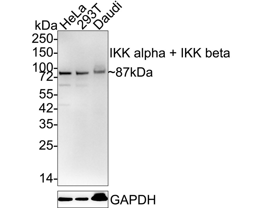 HA750248_1.jpg