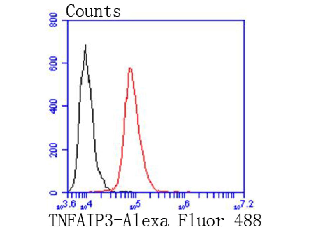 HA750253_6.jpg