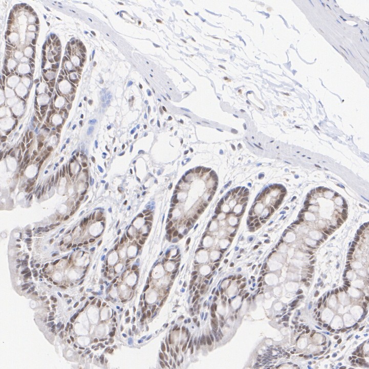 HA750254_8.jpg